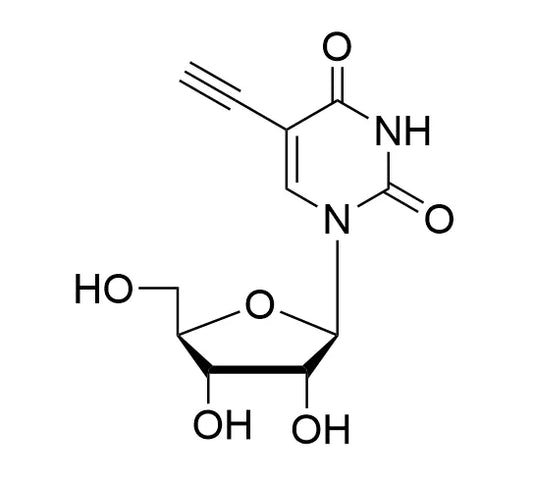 5-Ethynyl Uridine (5-EU) - 100 mg