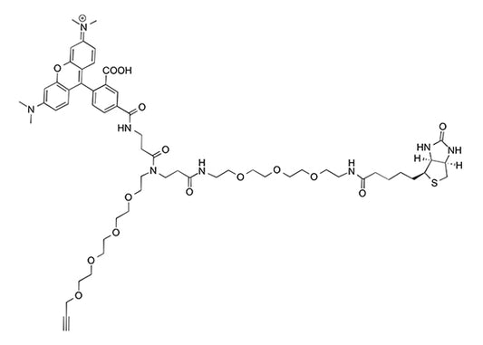 TAMRA Biotin Alkyne - 25 mg