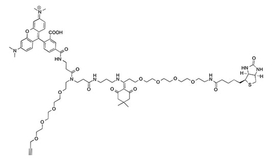 Dde TAMRA Biotin Alkyne - 25 mg