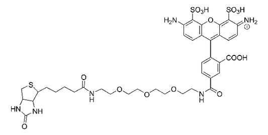 AZDye 488 Biotin - 5 mg