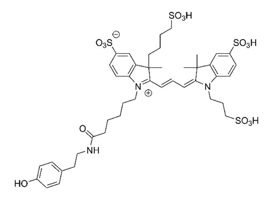 AZDye 555 Tyramide - 150 slides