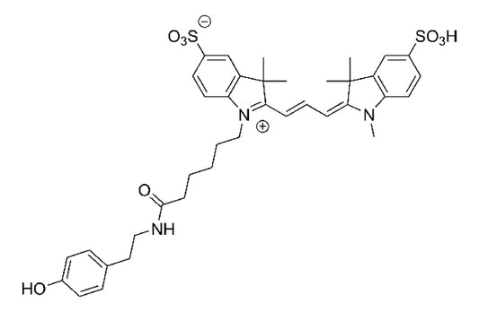 Cy3 Tyramide - 150 slides