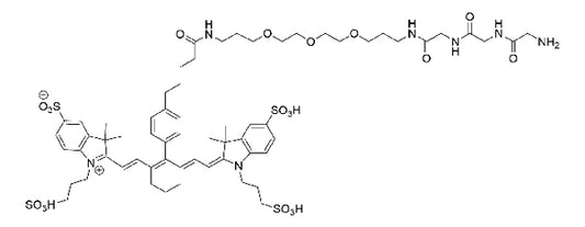 Cy7 Gly-Gly-Gly - 1 mg