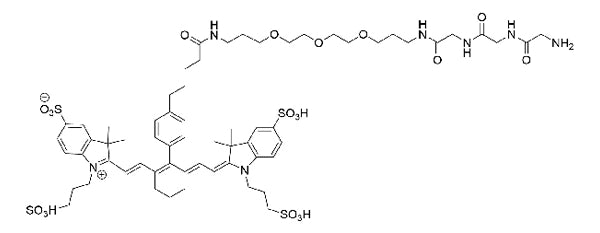 Cy7 Gly-Gly-Gly - 25 mg