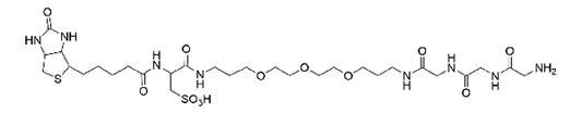 Biotin Gly-Gly-Gly - 5 mg