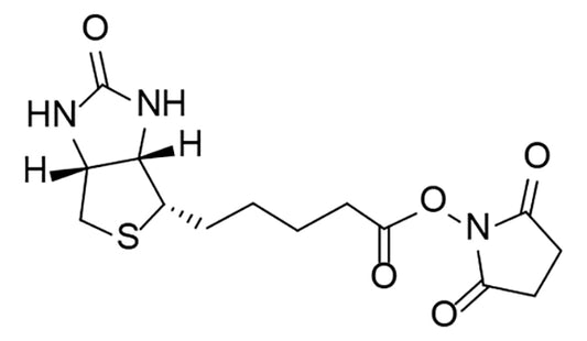 Biotin-NHS Ester - 1000 mg