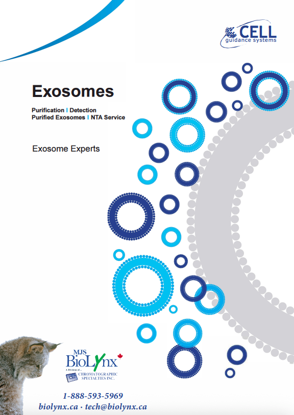 Exosomes – Purification, Detection, Tracking and NTA Service