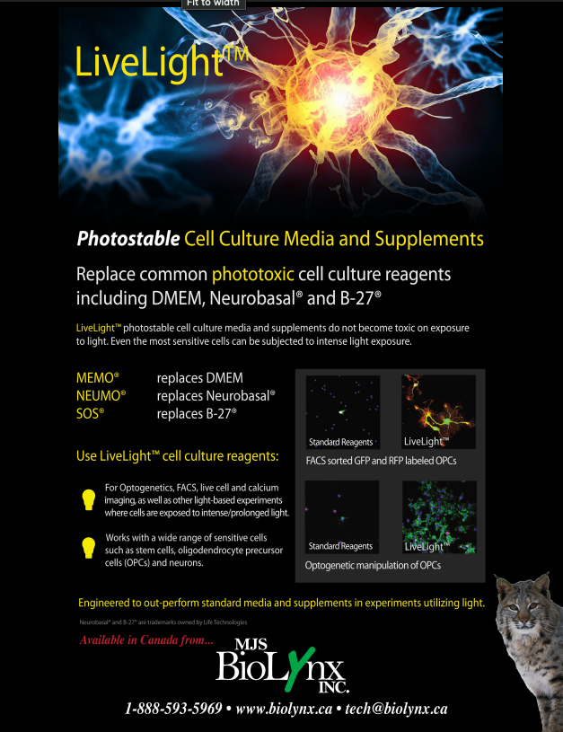 LiveLight™ – Photostable Cell Culture Media and Supplements