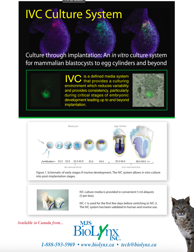 IVC Culture System