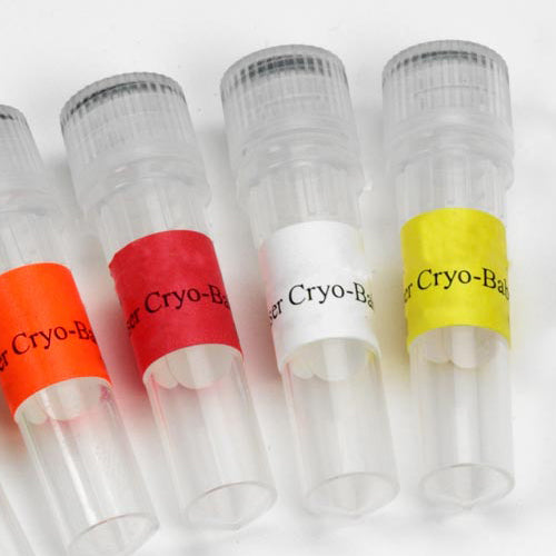 Laser Cryo-Tags, for Use with Racks and Boxes, 1.0” L x 2.63” W. White. Labels/Sheet: 30. Labels/Package: 600