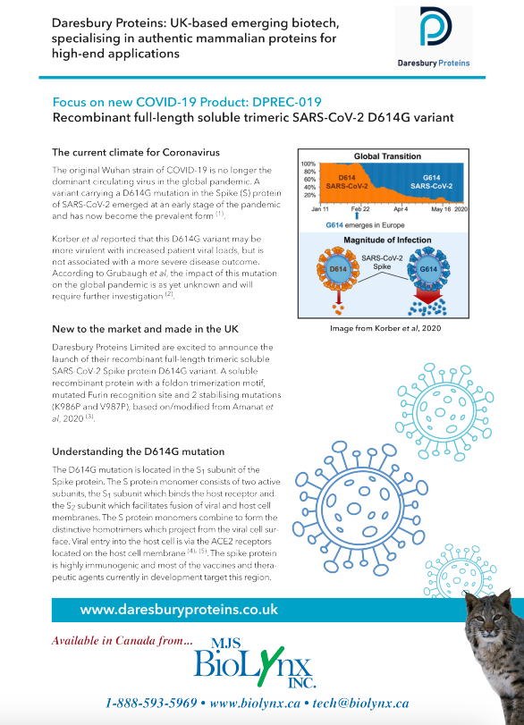 Recombinant Full-Length Soluble Trimeric SARS-CoV-2 D614G Variant