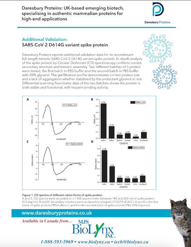 Daresbury Proteins - SARS-CoV-2 D614G variant spike protein