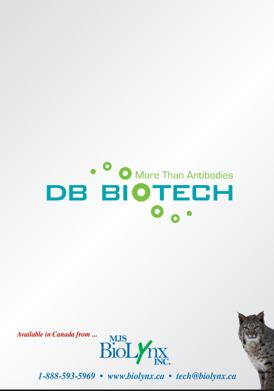 DB Biotech Catalogue