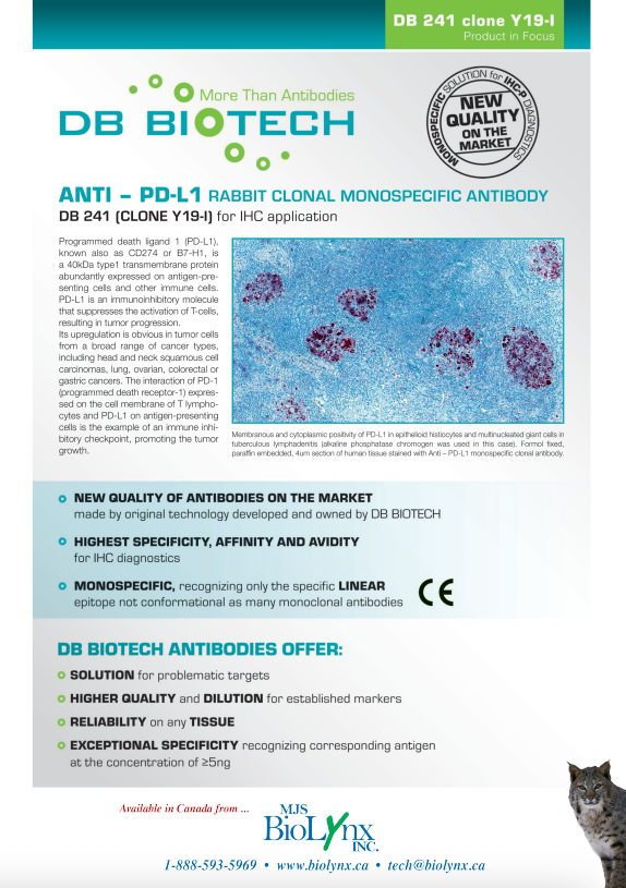 ANTI - PD-L1 Rabbit Clonal Monospecific Antibody DB241 (CLONE Y19-I) for IHC Application: