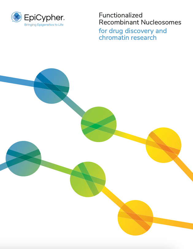 Functionalized Recombinant Nucleosomes for Drug Discovery and Chromatin Research