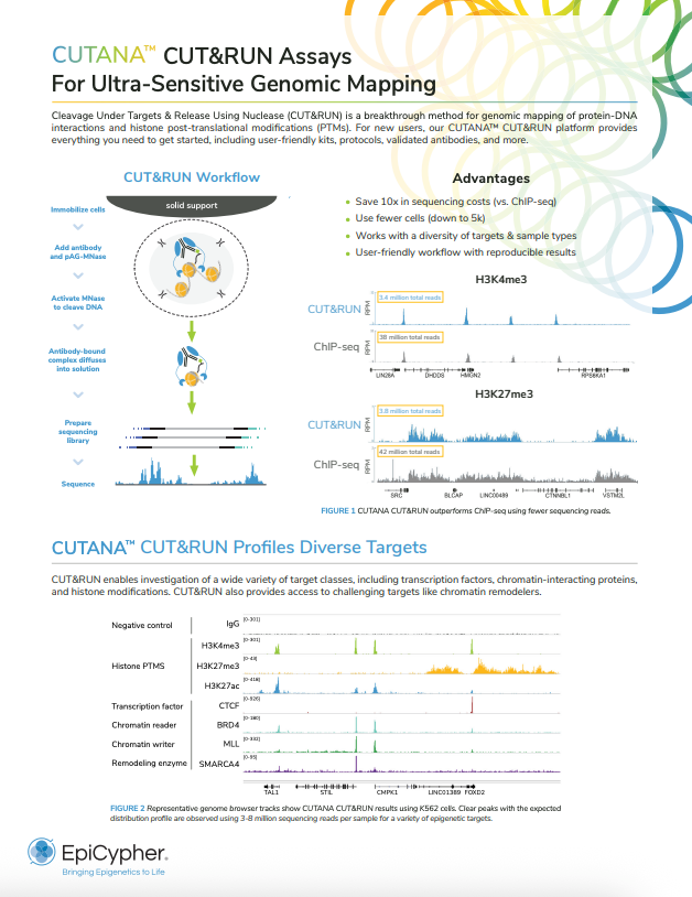 Cutana Brochure