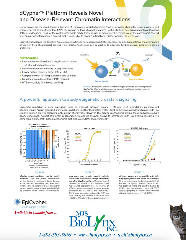 dCypher A service to discover novel chromatin binding interactions