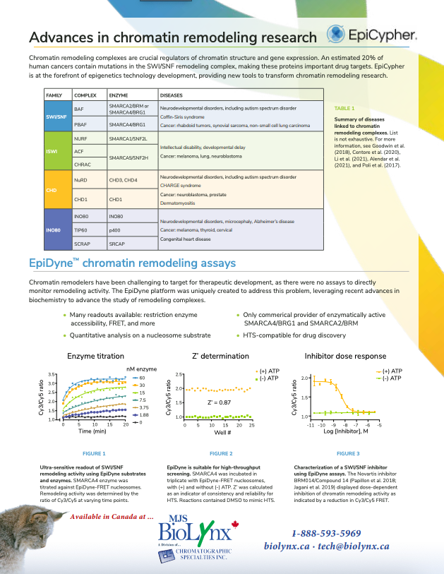 advances in Chromatin Remodeling Research