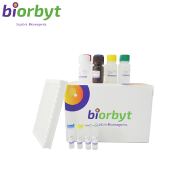 ***Human IL6 ELISA Kit, 96 Tests