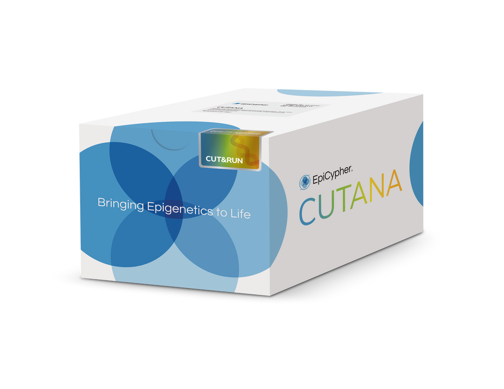 ***CUTANA ChIC/CUT&RUN Kit, 24 Reactions