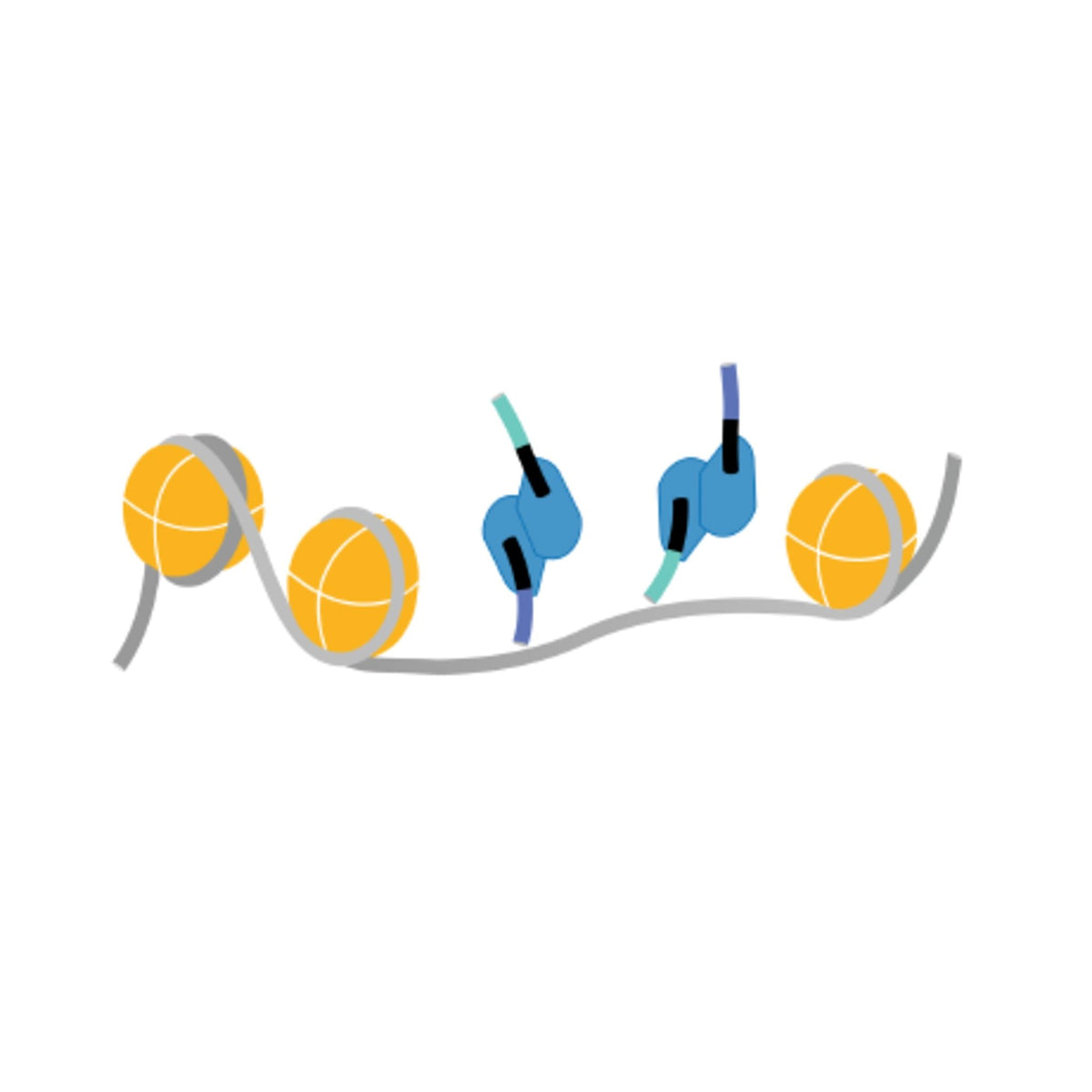 **CUTANA™ Tn5 Transposome, 125 µL