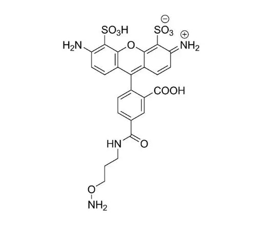 AZDye 488 Hydroxylamine - 5 mg