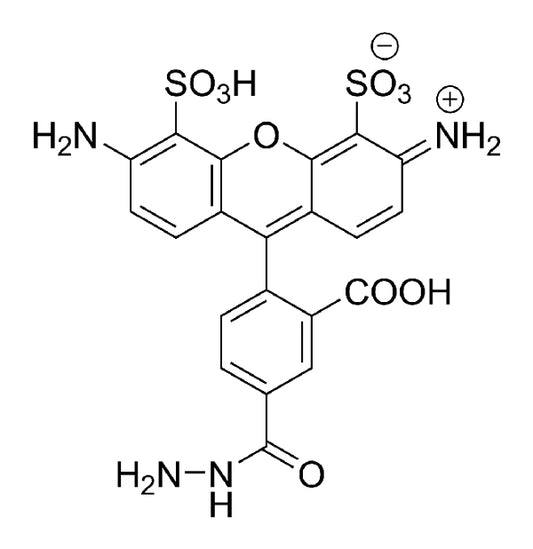 AZDye 488 Hydrazide - 5 mg