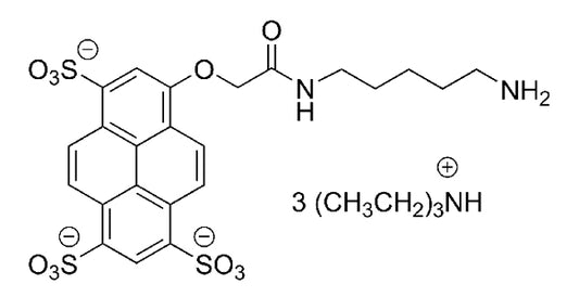 AZDye 405 Cadaverine - 5 mg