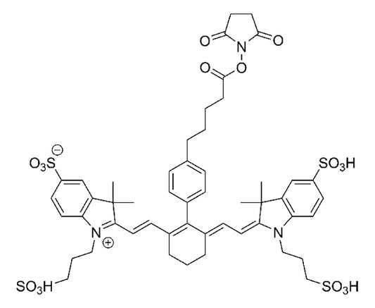 Cy7 NHS Ester - 100 mg