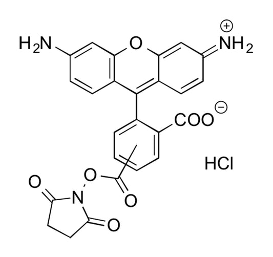 **5-Carboxyrhodamine 110 NHS Ester - 25 mg
