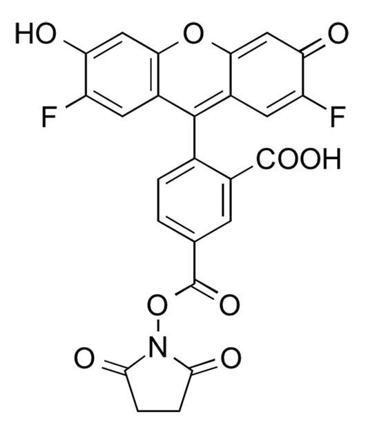 Difluorocarboxyfluorescein NHS Ester, 5-isomer - 25 mg