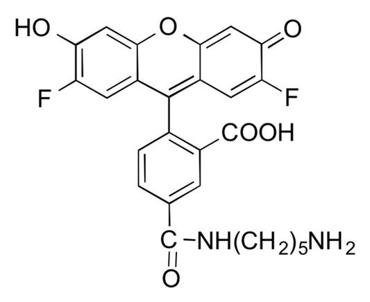 Difluorocarboxyfluorescein Cadaverine, 5-isomer - 100 mg