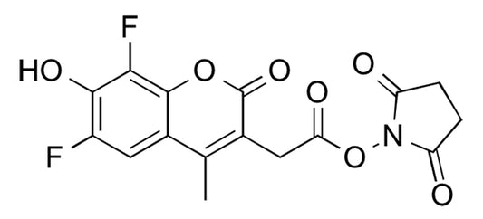 6,8-Difluoro-7-hydroxy-4-methylcoumarin NHS Ester - 25 mg