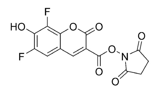 PB NHS Ester - 25 mg