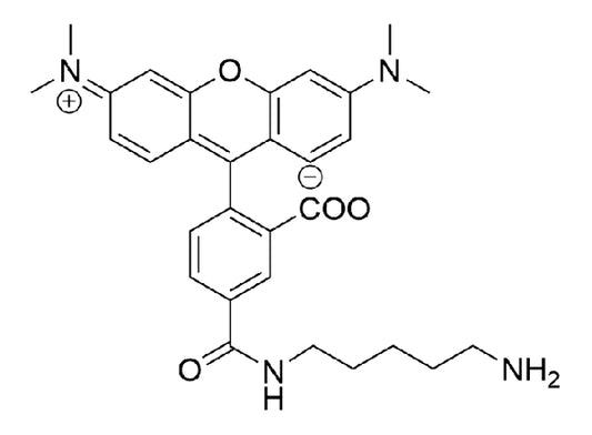 5-TAMRA Cadaverine - 25 mg