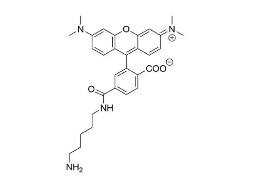 6-TAMRA Cadaverine - 25 mg