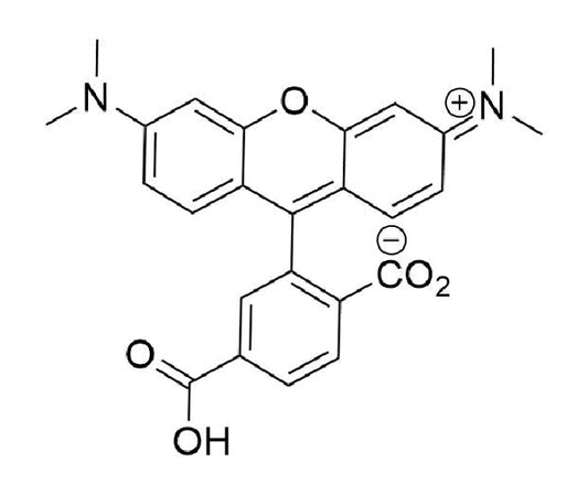 6-TAMRA Acid - 25 mg