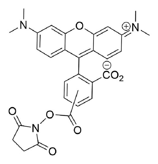 5(6)-TAMRA NHS Ester - 100 mg