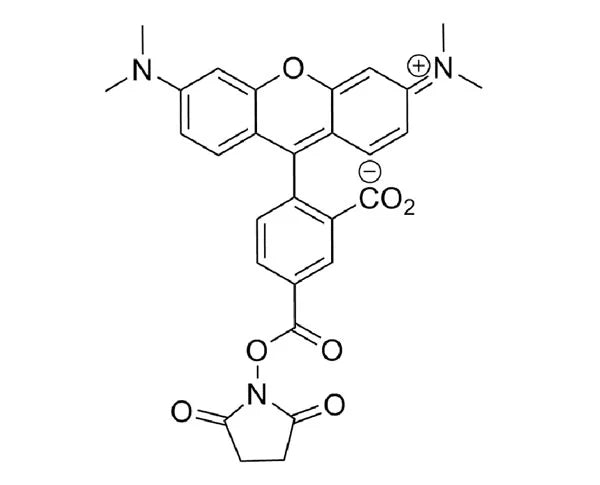 5-TAMRA NHS Ester - 25 mg