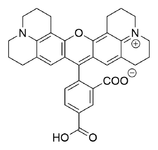 5-ROX (5-Carboxy-X-Rhodamine) - 1000 mg