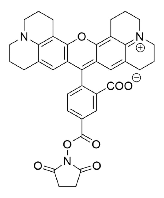 5-ROX NHS Ester - 25 mg