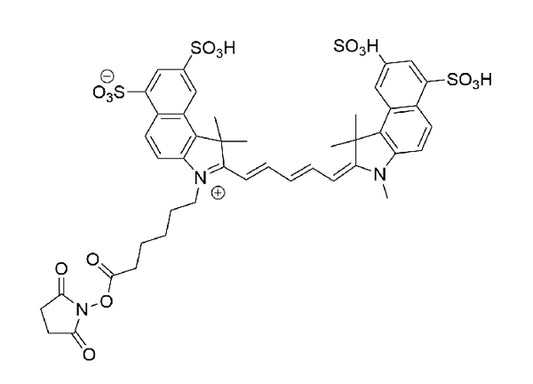 Cy5.5 NHS Ester - 25 mg