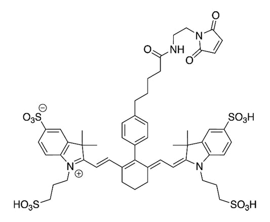 IR 750 Maleimide - 1 mg