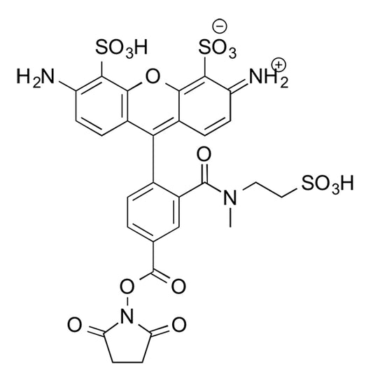 MB 488 NHS ester - 5 mg