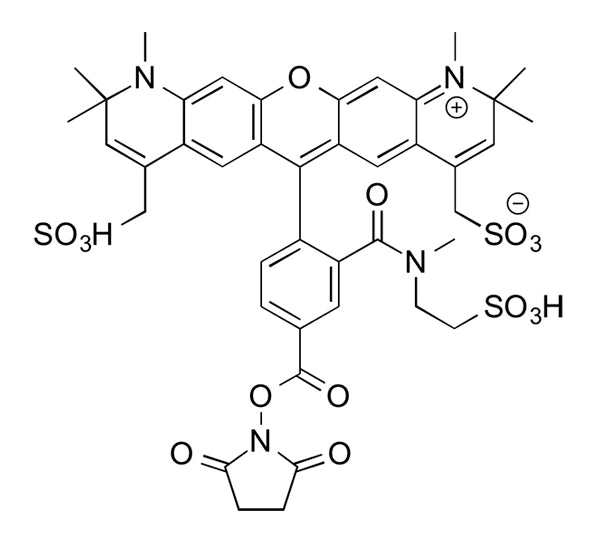MB 594 NHS Ester - 1 mg
