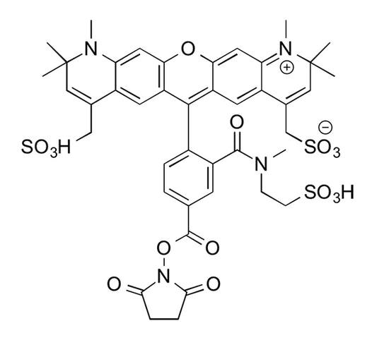 MB 594 NHS Ester - 1 mg