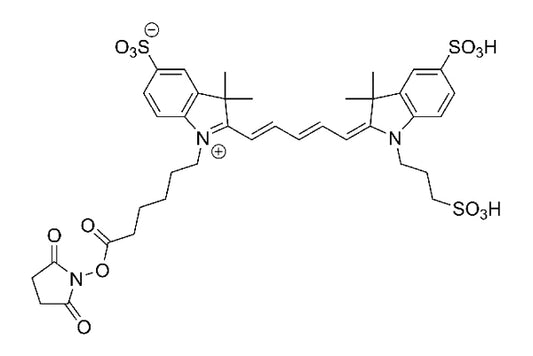 Sulfo-Cy5 NHS ester - 5 mg