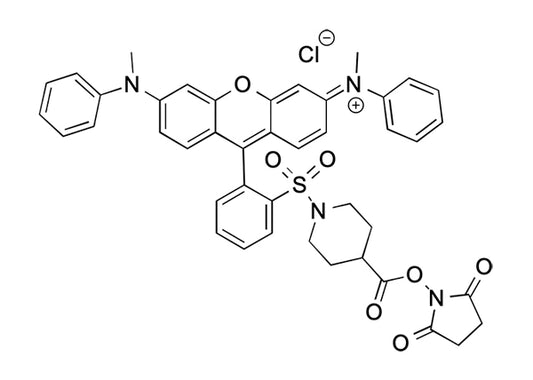 SY-7 NHS ester - 100 mg
