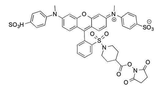 SY-9 NHS ester - 5 mg