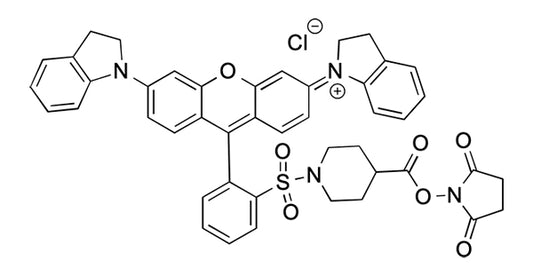 SY-21 NHS ester - 5 mg